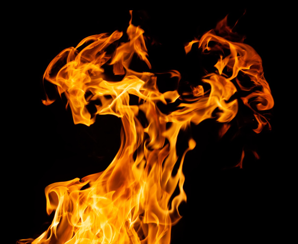 Fire flames on black - Фото, изображение