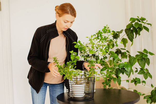 Жінка доглядає за кімнатними рослинами
 - Фото, зображення