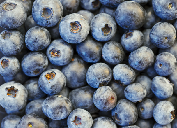 Blueberries in XXXL - Photo, Image