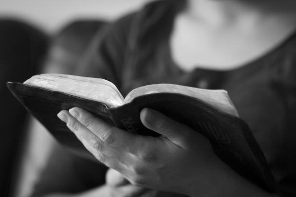 Raamatun lukeminen - Valokuva, kuva
