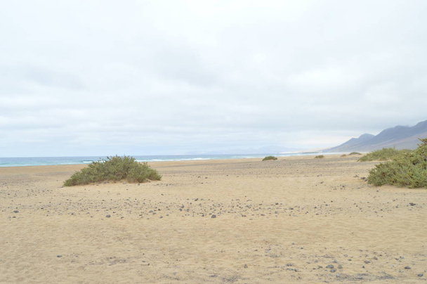 Wild Beach of Cofete luonnonpuistossa Jandian tuulisella rannikolla hiekkaa persikka keltainen ja ruskea. 4. heinäkuuta 2013. Cofete Jandia Fuerteventura Kanariansaaret. Maisemat, luonto
 - Valokuva, kuva