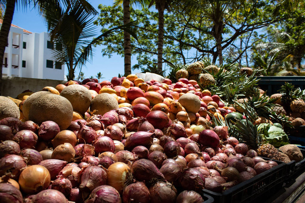 Δομινικανή Δημοκρατία: ένα φορτηγό που πουλάει φρέσκα φρούτα στην πλευρά του t - Φωτογραφία, εικόνα