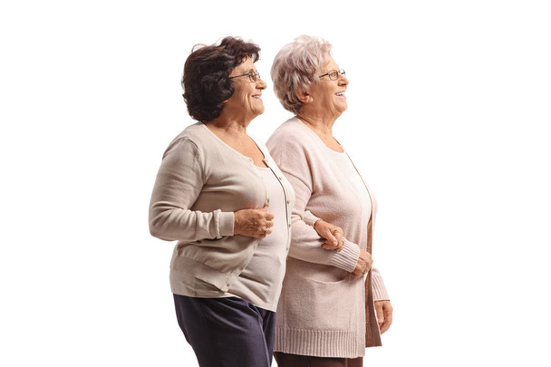 Two senior women walking together hand by hand - Фото, изображение