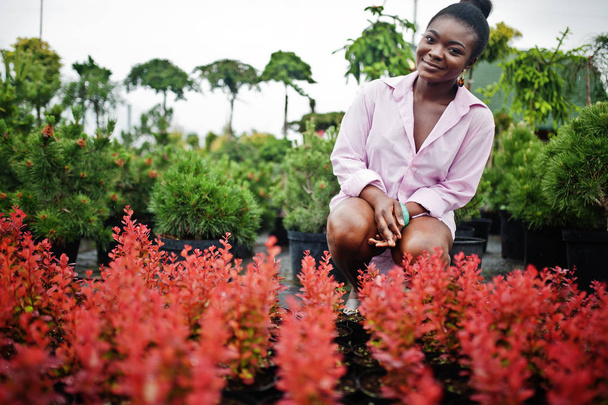 African woman in pink large shirt posed at garden with seedlings - Zdjęcie, obraz