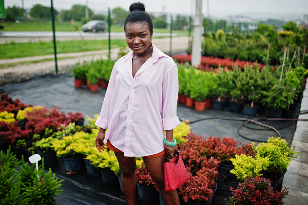 African woman in pink large shirt posed at garden with seedlings - Foto, Imagen