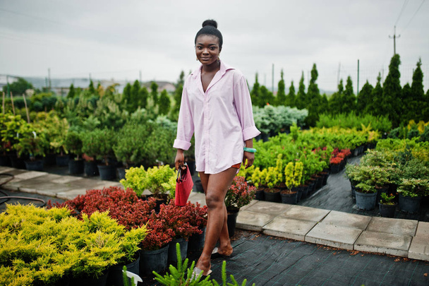 Afrikaanse vrouw in roze grote shirt afgezet in de tuin met zaailingen - Foto, afbeelding