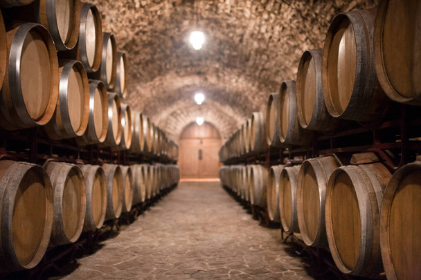 wine barrels. wine cellar and winery - Fotografie, Obrázek