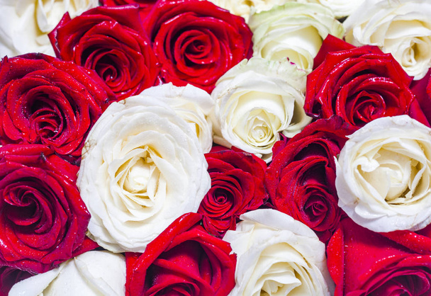 Pozadí čerstvých červených a bílých růží - Fotografie, Obrázek