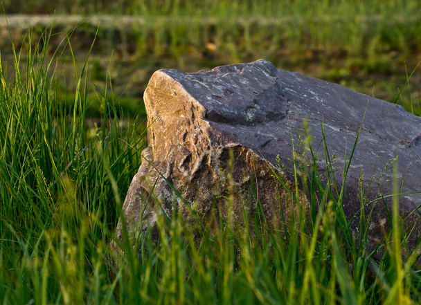 Enorme piedra en una hierba verde
 - Foto, Imagen