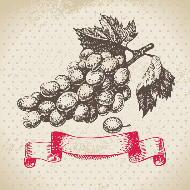 Vino de fondo vintage con uvas. ilustración dibujada a mano
 - Vector, imagen
