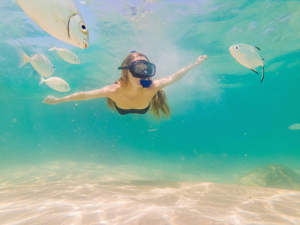 Mujer feliz en buceo máscara de snorkel bajo el agua con peces tropicales en la piscina de coral de arrecife de mar. Estilo de vida de viajes, deportes acuáticos aventura al aire libre, clases de natación en vacaciones de verano playa
 - Foto, Imagen