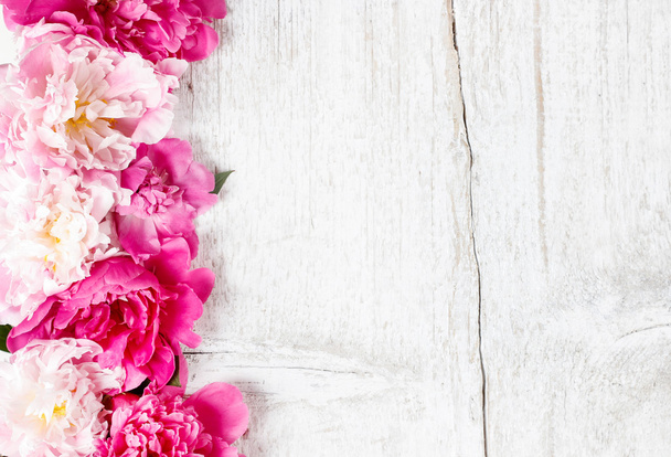 Stunning peonies on wooden background. Copy space. - Photo, image