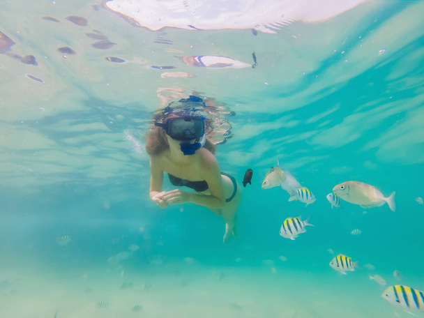 Mujer feliz en buceo máscara de snorkel bajo el agua con peces tropicales en la piscina de coral de arrecife de mar. Estilo de vida de viajes, deportes acuáticos aventura al aire libre, clases de natación en vacaciones de verano playa
 - Foto, Imagen