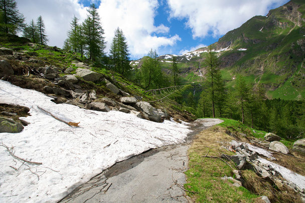 Road in Switzerland Alps - Фото, зображення
