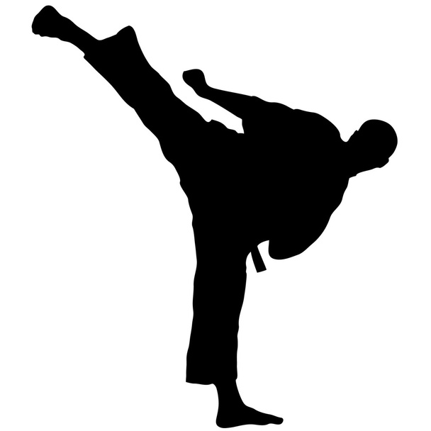 Dövüş sanatları - karate yüksek tekme - Vektör, Görsel