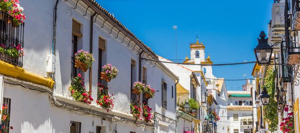 Panorama of white and yellow houses in Cordoba - Фото, изображение