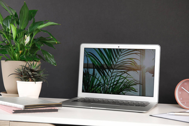 Houseplants and laptop on table in office interior - Fotoğraf, Görsel