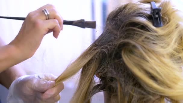 The concept of professional hair coloring. a woman at the hairdresser dyes her hair - Footage, Video