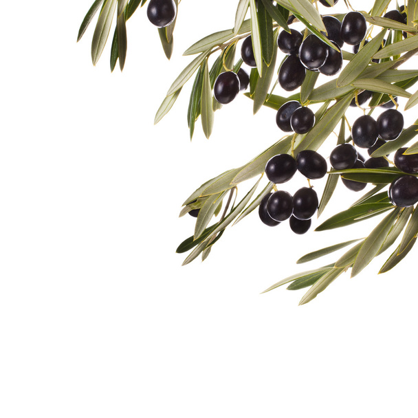 Black olives - Foto, Imagem