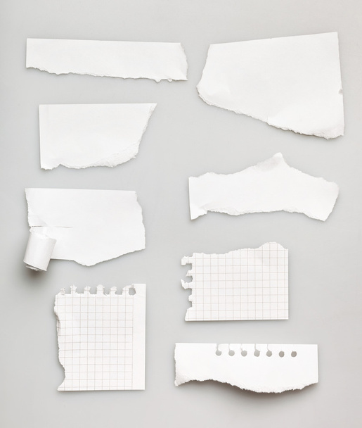 Collection of white pieces of paper - Foto, Imagen