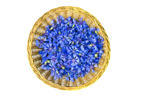 cornflowers blossoms in wicker plate isolated on white - Photo, Image