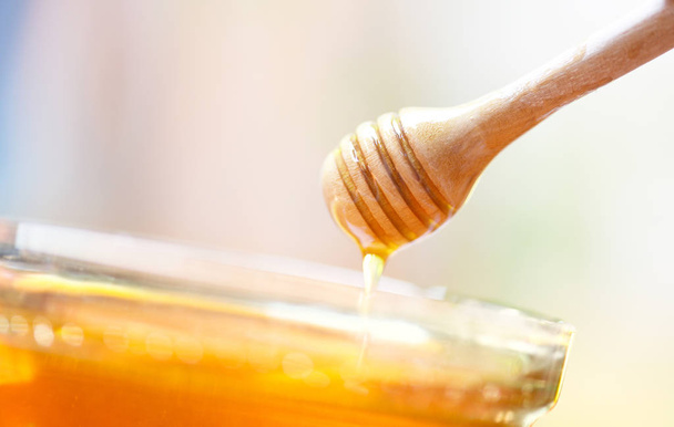 Miele gocciolante da un tuffatore di miele in legno in un barattolo
  - Foto, immagini