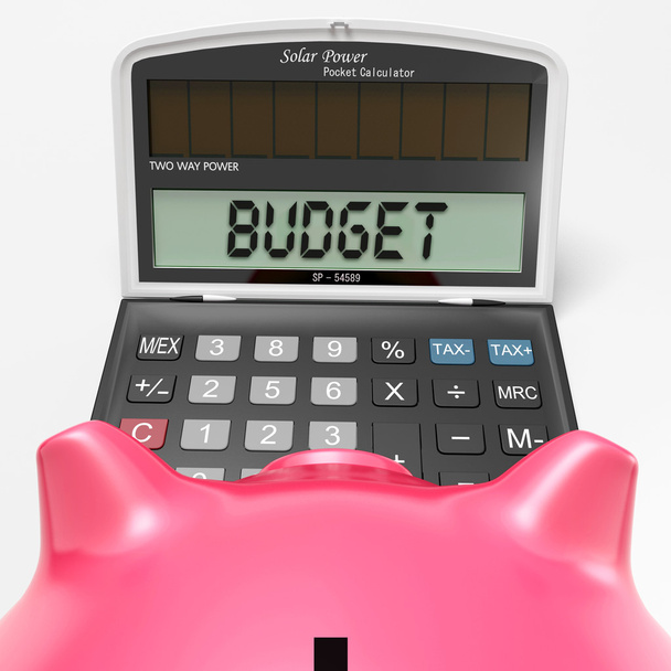 begroting rekenmachine toont boekhoud- en verslag - Foto, afbeelding