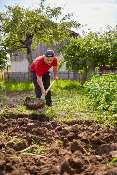Farmer working with a shovel in his garden - Photo, Image