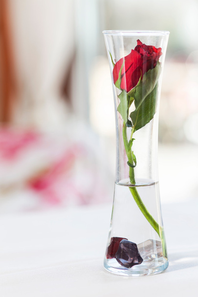 Красная роза в вазе - Фото, изображение