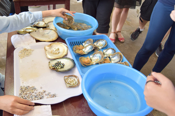 Femme qui travaille sur l'extraction des perles des coquilles d'huîtres. Usine vietnamienne près de Ha Long Bay
 - Photo, image