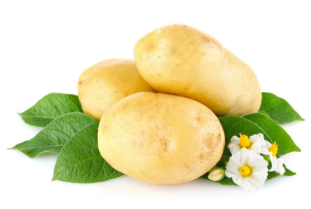 πατάτες με φύλλα και το λουλούδι - Φωτογραφία, εικόνα