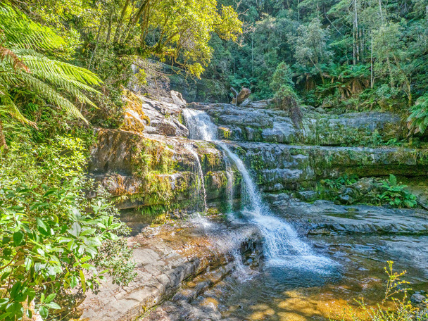 Liffey Falls na Tasmanii - Zdjęcie, obraz