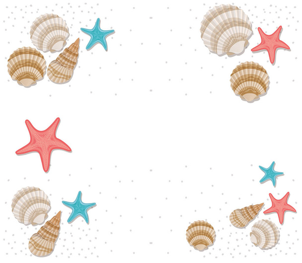 conchas bonitos no mar em fundo branco
 - Vetor, Imagem