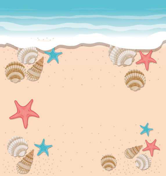 cute seashells on the sea in white background - Vector, Image
