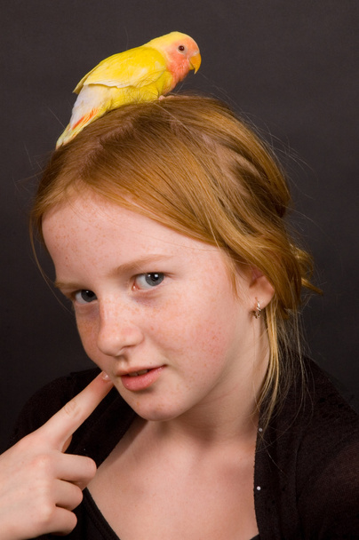 kislány gondolkodás a törpepapagáj - Fotó, kép