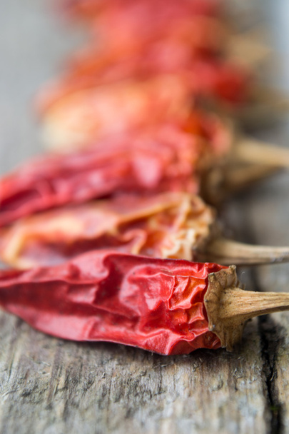 Vörös száraz paprika-fa - Fotó, kép