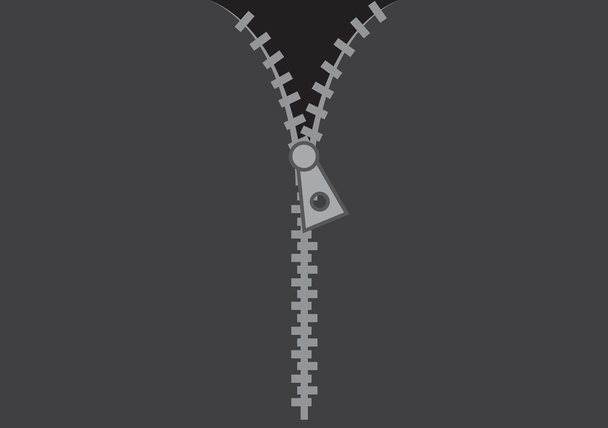 Zipper Background - Vector, Image