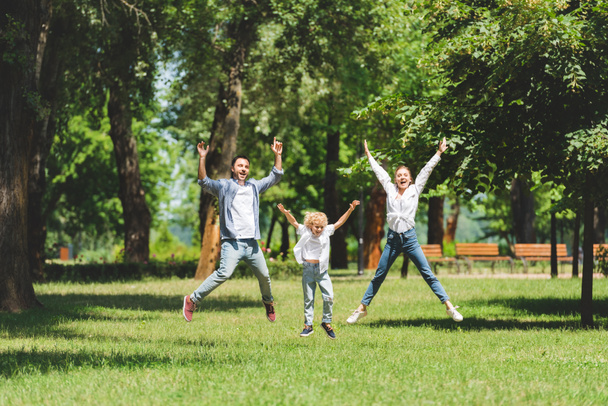 família feliz pulando com as mãos levantadas no parque durante o dia
 - Foto, Imagem
