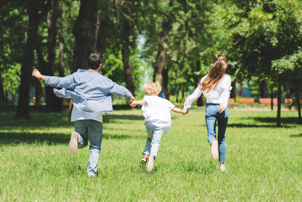 Happy Family Holding handen en rennen in Park overdag - Foto, afbeelding