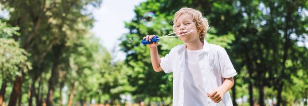 panoramic shot of adorable boy blowing soap bubbles in park - Photo, Image