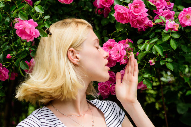 Aroma of roses. Girl adorable blonde sniffing fragrance of pink bloom. Spring and summer. Perfume and cosmetics. Woman in front of blooming roses bush. Blossom of wild roses. Secret garden concept - Foto, afbeelding