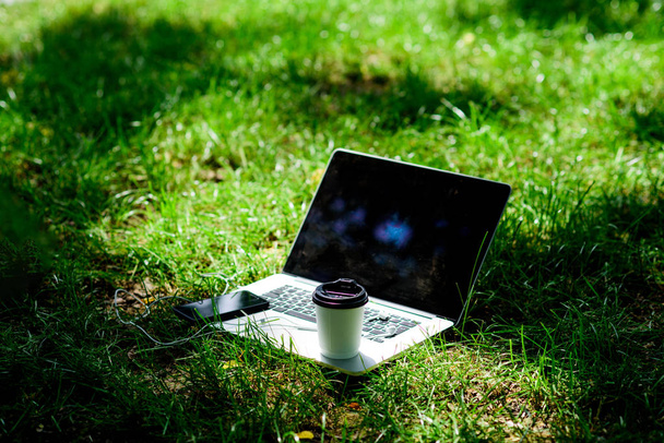 Coffee break outdoors. Summer park. Work and relax in natural environment. Its coffee time. Coffee take away. Laptop modern smartphone with earphones and coffee cup on green grass. Green office - Φωτογραφία, εικόνα
