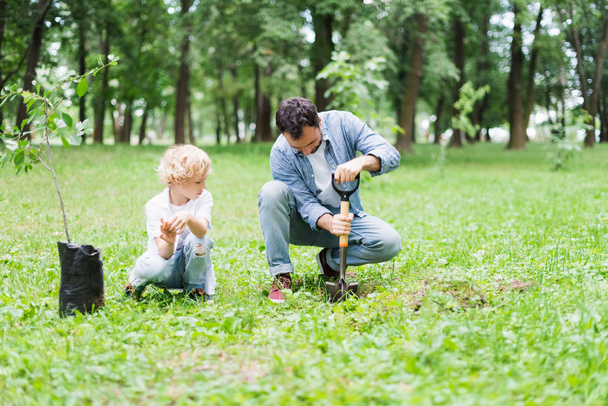 apa ásni a lapátot a fiú mellett ültetés csemete parkban - Fotó, kép