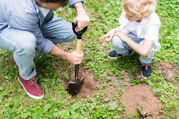 cropped view of father digging ground with shovel near son for planting seedling in park - Foto, Imagem