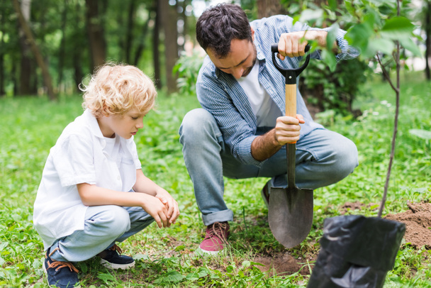 father and son during digging ground with shovel for planting seedling in park - 写真・画像