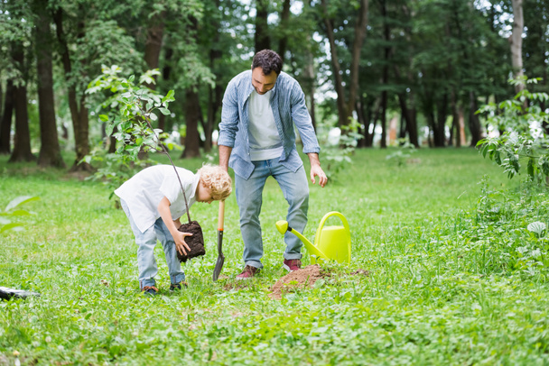 son planting seedling in ground near father in park - Фото, зображення