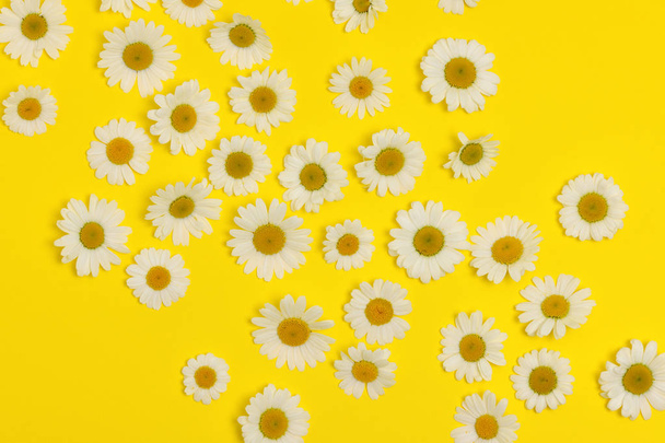 daisies and buttercups - Fotó, kép