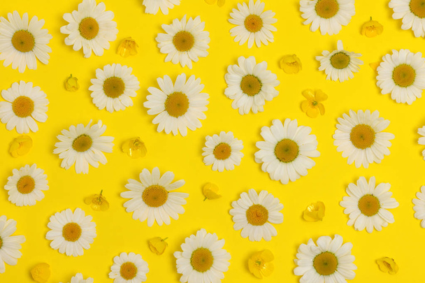 daisies and buttercups - Foto, immagini