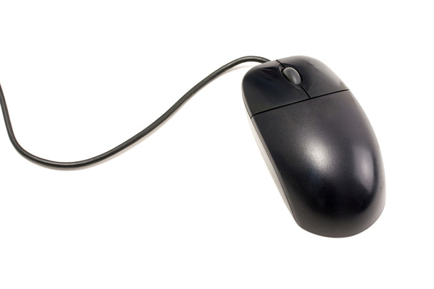 Computer Mouse - Photo, Image