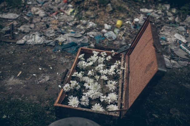 Η ανοιχτή βαλίτσα είναι με λουλούδια φυτευμένα μέσα στο φόντο μιας υγειονομικής ταφής. - Φωτογραφία, εικόνα